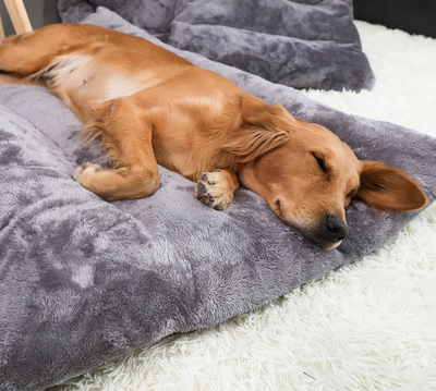 Caseta Desmontable y Lavable para Perros Grandes - Image 6