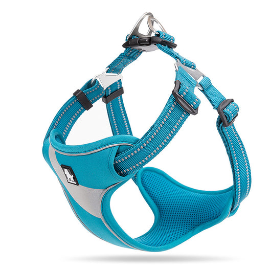 Chaleco Arnés para Perro Corgi - Cuerda Ajustable Bichón Shiba Inu - Image 8