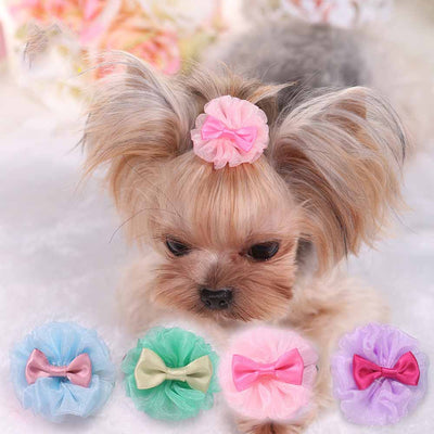 Pasador Organza Burbuja Adorable para Mascotas - Image 12