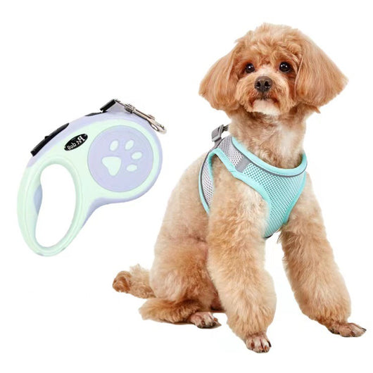 Small light brown poodle wearing an orange mesh dog vest harness with reflective trim and a retractable leash. - Image 18