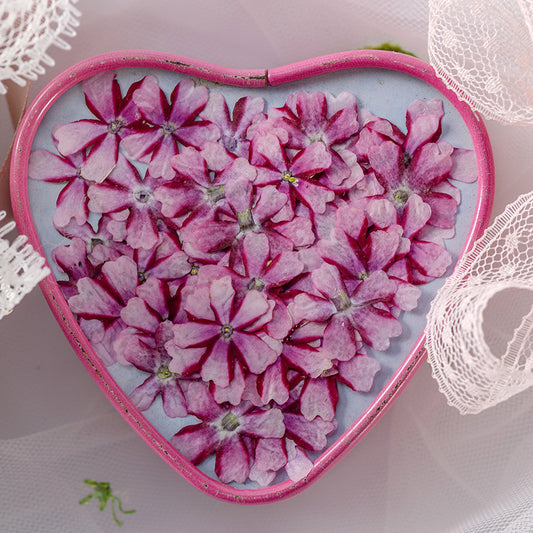 Marcapáginas con Flor de Cerezo Deshidratada - Accesorio Ornamental con Espécimen Botánico