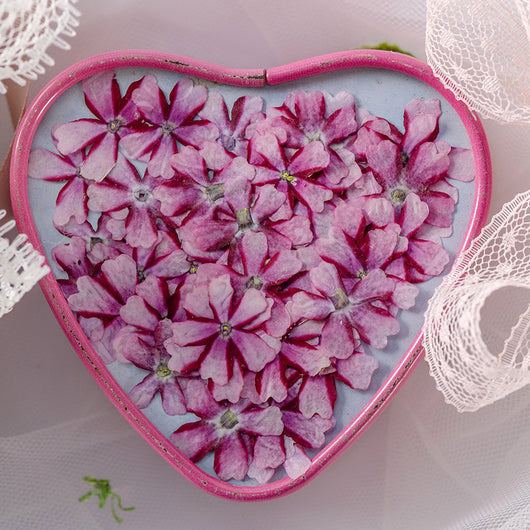 Marcapáginas con Flor de Cerezo Deshidratada - Accesorio Ornamental con Espécimen Botánico