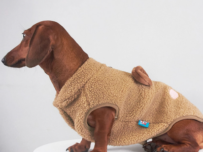 Chaleco de Lana para Mascotas - Abrigo Otoño e Invierno para Perros y Gatos - Image 2