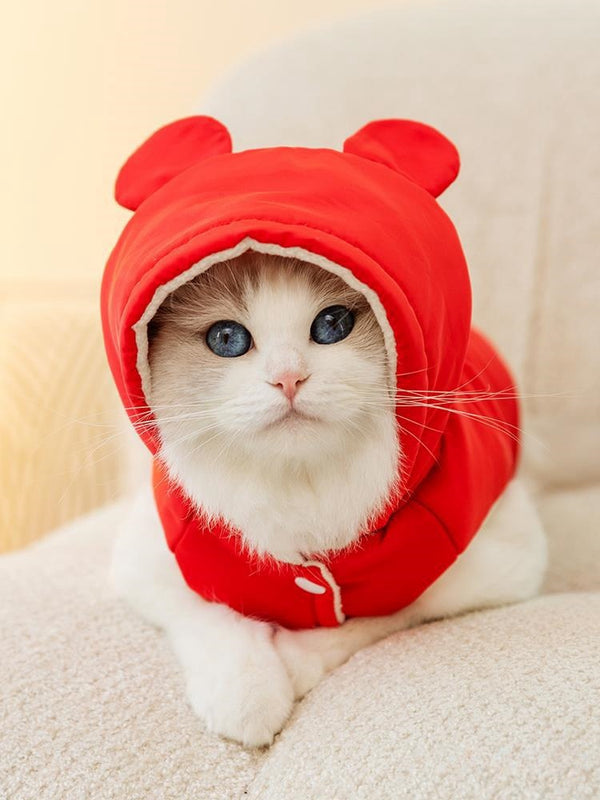 Chaleco Térmico Antibolitas para Gatos - Diseño Azul Degradado para Gatos Británicos de Pelo Corto