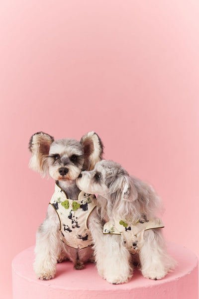 Chaleco sin Mangas Estilo Chino para Mascotas - Diseño Panda Teddy Schnauzer Bichón - Image 57
