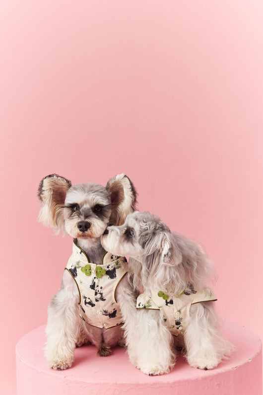 Chaleco sin Mangas Estilo Chino para Mascotas - Diseño Panda Teddy Schnauzer Bichón - Image 57