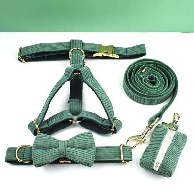 Collar y Correa para Perro en Terciopelo Verde - Image 10