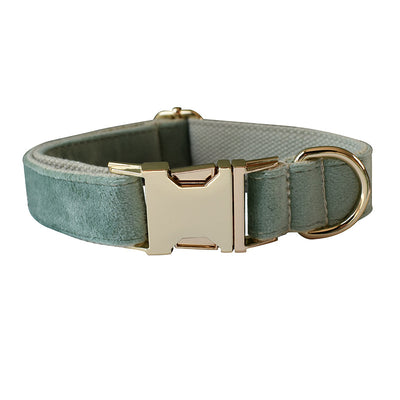 Collar y Correa para Perro Verde Menta - Image 2