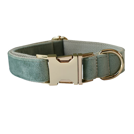 Collar y Correa para Perro Verde Menta - Image 2