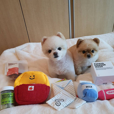 Set de 3 Juguetes para Perro con Mochila Escolar