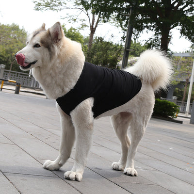 Chaleco y Camiseta para Perro XS-5XL | Ropa Fresca para Perros Pequeños - Image 17