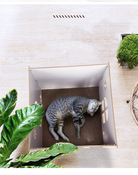 Cama Multifuncional para Gatos Adultos con Rascador Integrado y Nido Desmontable - Image 8