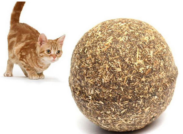 Natural Nepeta Cataria catnip ball in a clear plastic container with a label featuring a cartoon cat. - Image 6