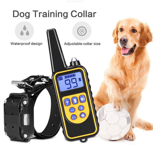 Three electric dog training collars in black, orange, and yellow with receivers, alongside a black and yellow remote control.