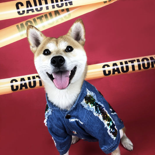 Chamarra de Mezclilla con Lentejuelas para Perros Pequeños, Medianos y Grandes - Image 2