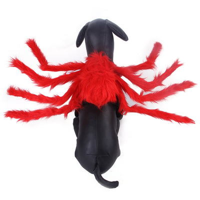 Disfraz de Araña Halloween para Mascotas - Gato y Perro - Image 11