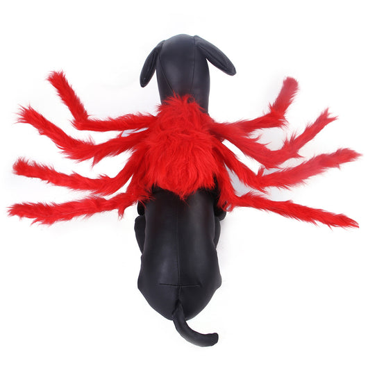 Disfraz de Araña Halloween para Mascotas - Gato y Perro - Image 11