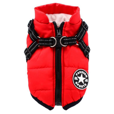 Abrigo Acolchado para Perros Pomerania y Razas Pequeñas - Image 9