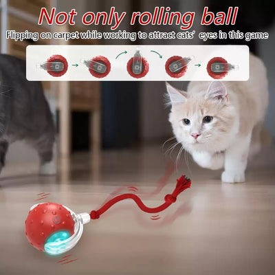 Red interactive cat toy ball with clear shell and glowing blue light, attached to a red rope, next to a playful tabby kitten. - Image 2