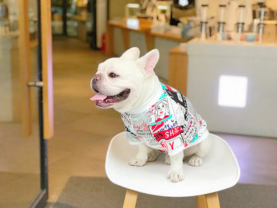 Suéter Abrigador para Perros Pequeños - Schnauzer, Shiba Inu y Bichón - Image 13