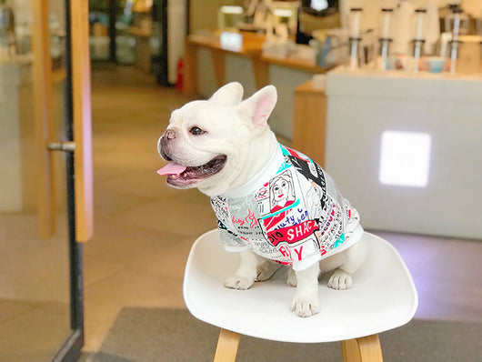 Suéter Abrigador para Perros Pequeños - Schnauzer, Shiba Inu y Bichón - Image 13