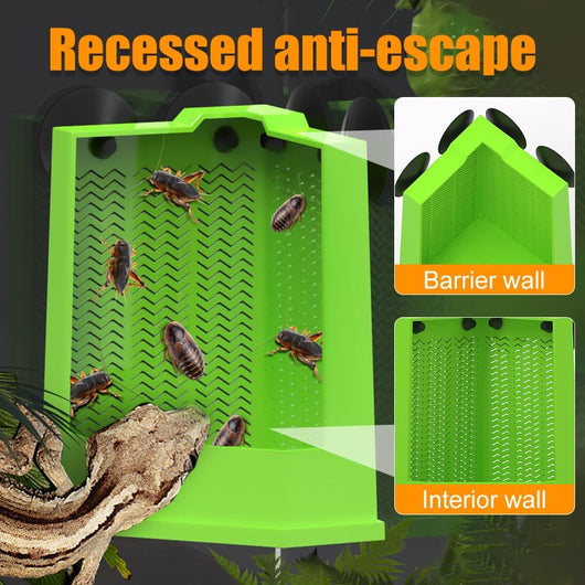 Comedero Esquinero para Dragón Barbudo con Ventosas - Alimentador de Pared para Terrario - Image 16
