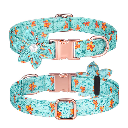 Juego de Collar y Correa Personalizado para Mascotas - Image 34