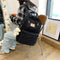 Mochila de Hombro de Gran Capacidad Estilo Moderno