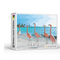 Kit Pintura por Números Flamencos en la Playa