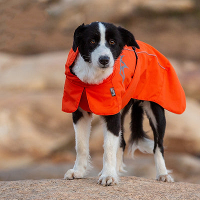 Abrigo Acolchado para Perros - Impermeable y Cálido para Otoño e Invierno - Image 3