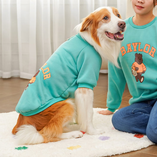 Large dog wearing a teal fleece-lined sweatshirt with 'BAYLOR' text and a bear graphic on the back. - Image 16