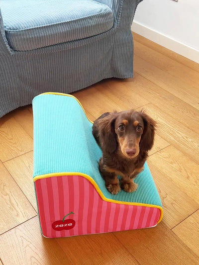 Escaleras para Mascotas con Peldaños Removibles y Esponja Lavable - Image 8