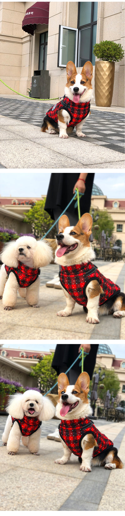 Abrigo Impermeable para Perros con Cinta Reflectante - Ropa Térmica Invierno - Image 10