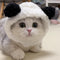 Chapéu de Panda