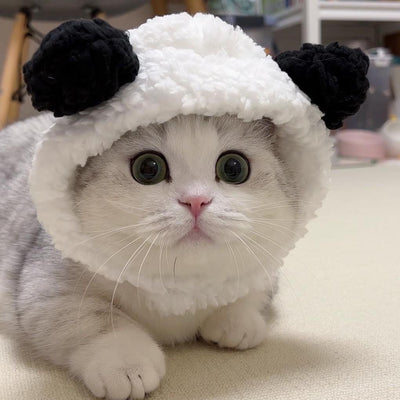 Gorro Felino de Moda: Expresa tu Personalidad y Creatividad - Image 8