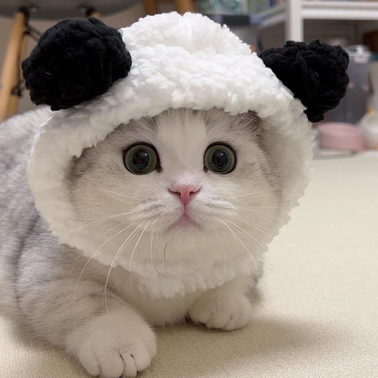 Gorro Felino de Moda: Expresa tu Personalidad y Creatividad - Image 8