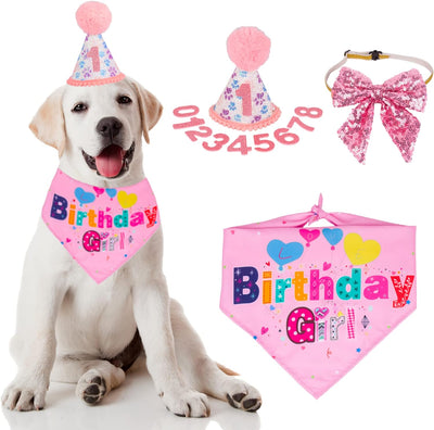 Sombrero de Cumpleaños para Perros con Números y Bandana - Image 3
