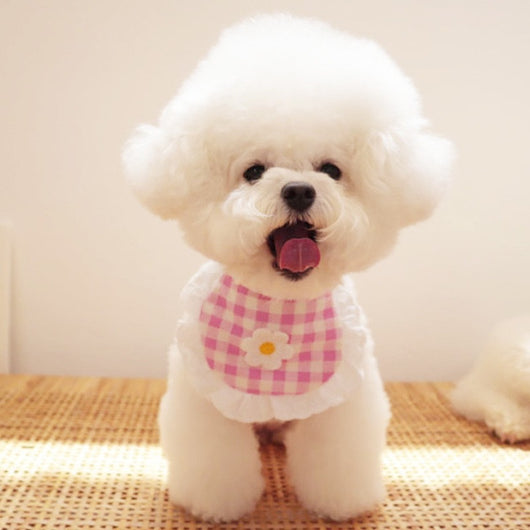 Babero Absorbente para Perros con Diseño Cuadros y Flores - Image 8