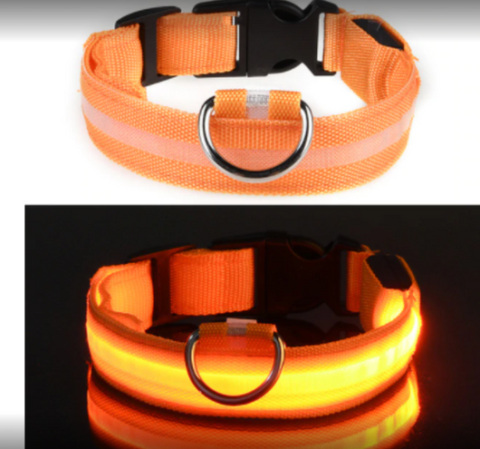 Collar Inteligente para Mascotas con Fibra Óptica, Impermeable y Carga Magnética - Image 12