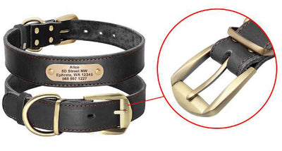 Collares Personalizados para Perros Medianos y Grandes con Placa de Identificación - Image 10