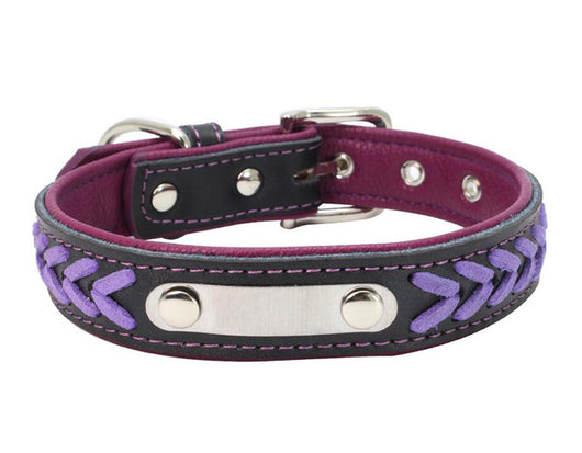 Collar para Perro de Acero Inoxidable con Grabado Láser - Image 25