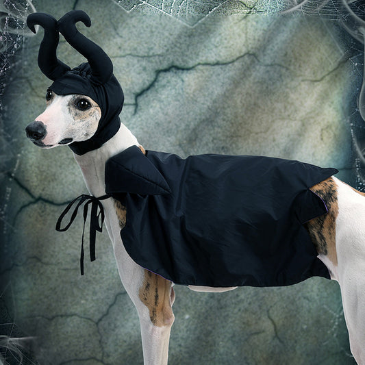 Capa y Sombrero de Halloween para Perros - Disfraz Festivo para Mascotas