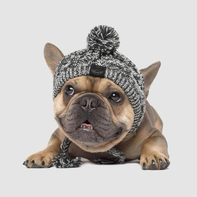 Gorro Tejido Polar para Perros con Pompón - Protección Térmica Resistente al Viento - Image 5