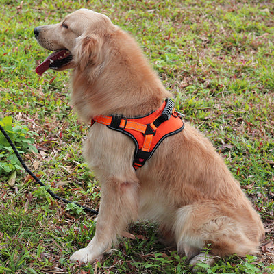Arnés Ajustable y Cómodo para Pasear Perros - Image 3