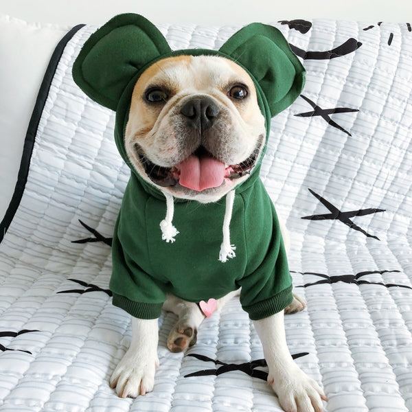 Suéter Acogedor para Orejas - Transformación Adorable