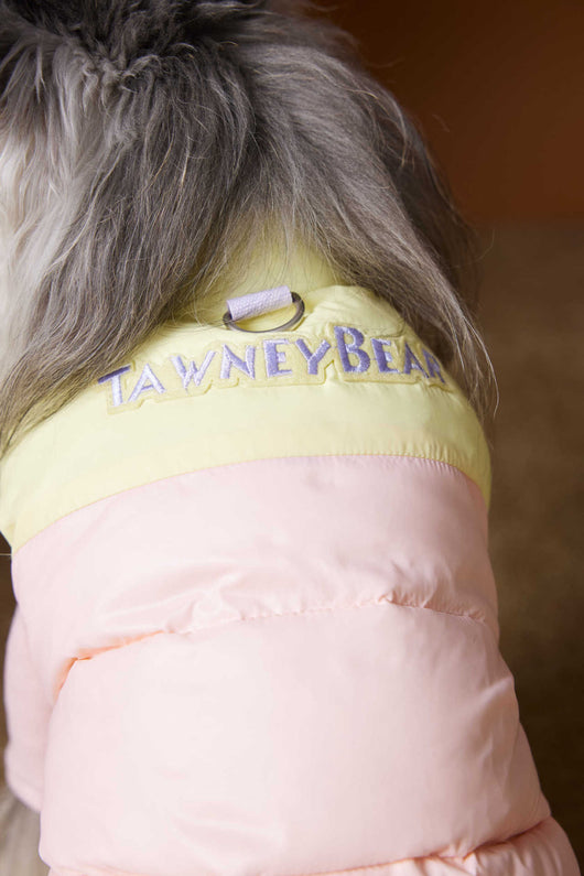 Chaleco Acolchado de Invierno para Perros Pequeños - Teddy, Schnauzer, Bichón - Image 23