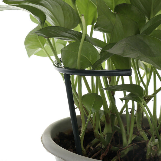 Soporte Enrejado para Plantas Trepadoras - Estructura DIY