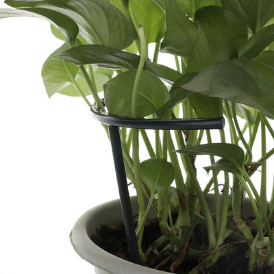 Soporte Enrejado para Plantas Trepadoras - Estructura DIY