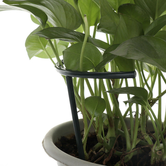 Soporte Enrejado para Plantas Trepadoras - Estructura DIY