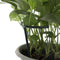 Soporte Enrejado para Plantas Trepadoras - Estructura DIY